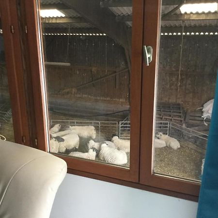 Le Loup Dans La Bergerie Bed and Breakfast Montmartin-sur-Mer Buitenkant foto