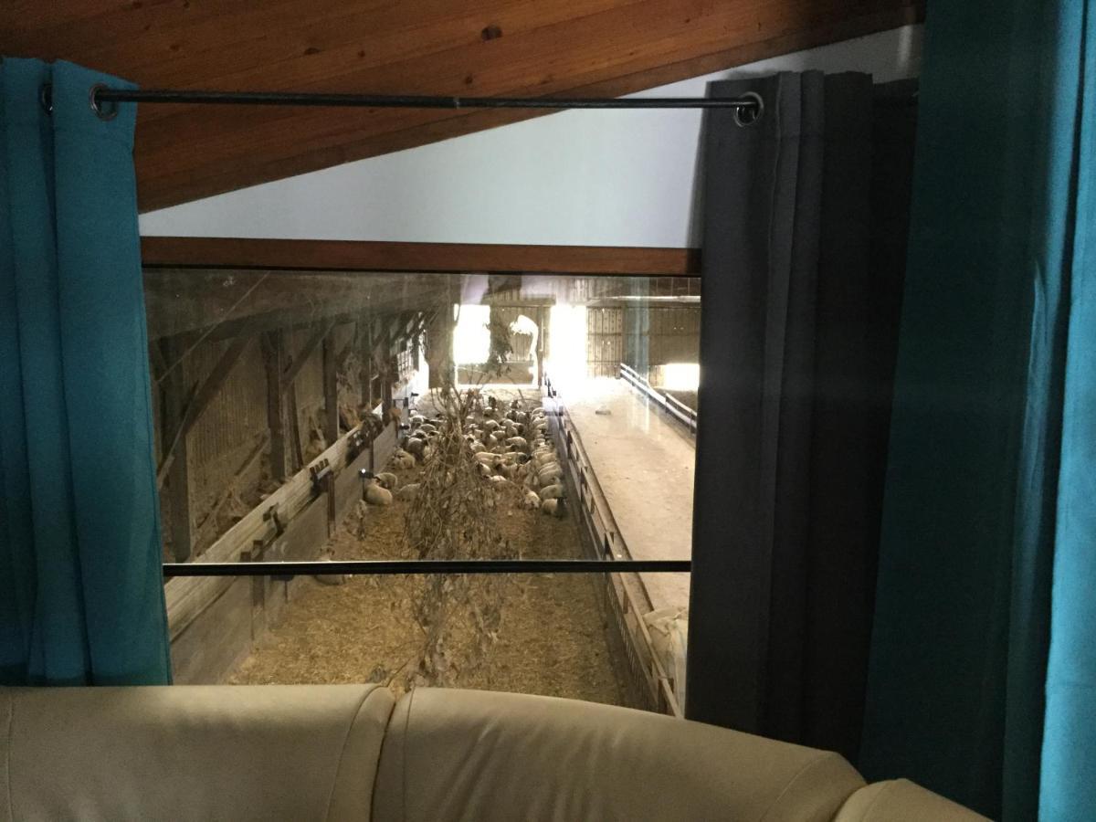 Le Loup Dans La Bergerie Bed and Breakfast Montmartin-sur-Mer Buitenkant foto