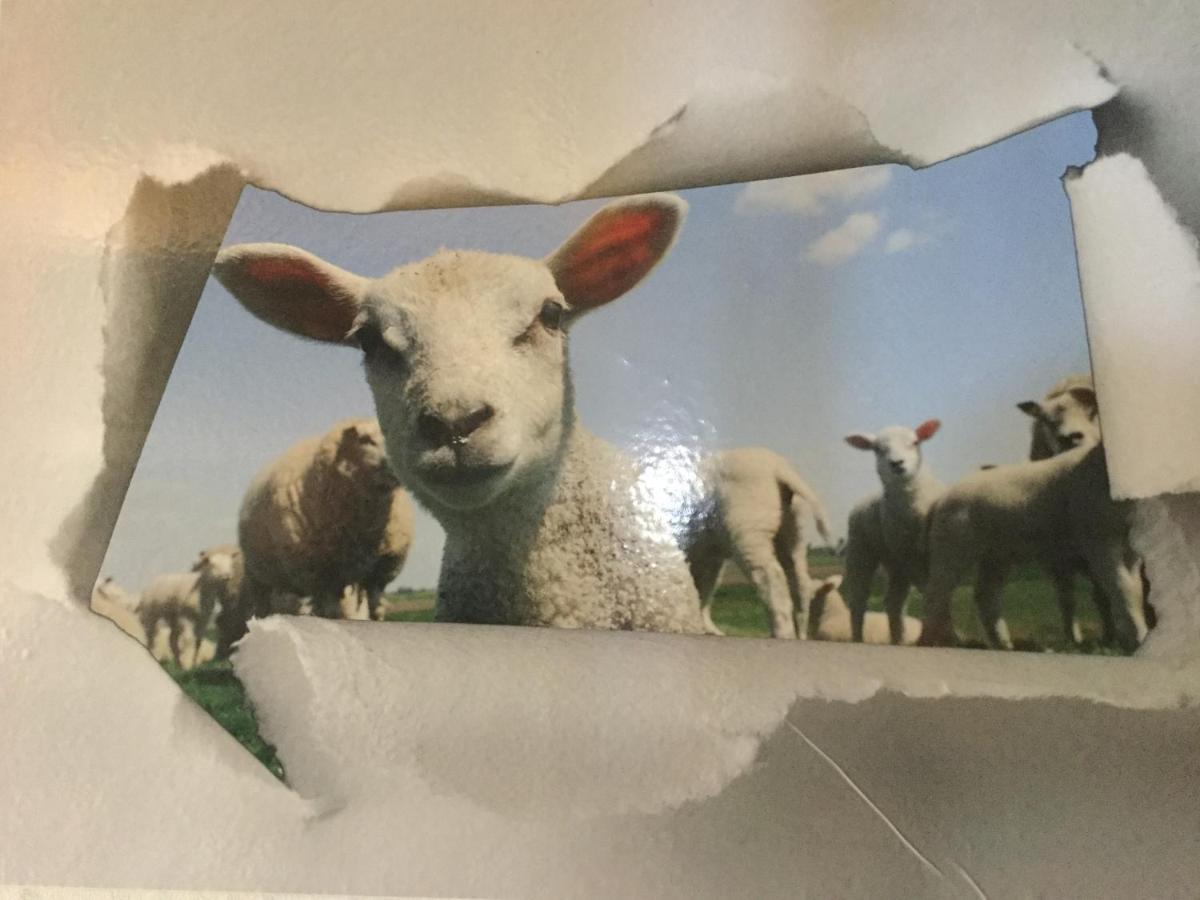 Le Loup Dans La Bergerie Bed and Breakfast Montmartin-sur-Mer Buitenkant foto